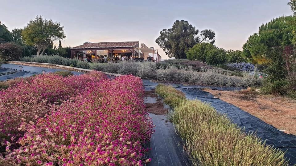 Quinta Do Mel Guest House Albufeira Luaran gambar